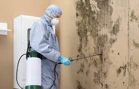 Best Water Damage & Mold Remediation  in Ross, OH